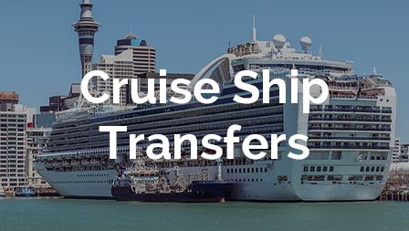 Cruise Shipt Transfers